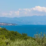Ferienhaus Villa Pinia Holiday Home With A Pool Jadranovo