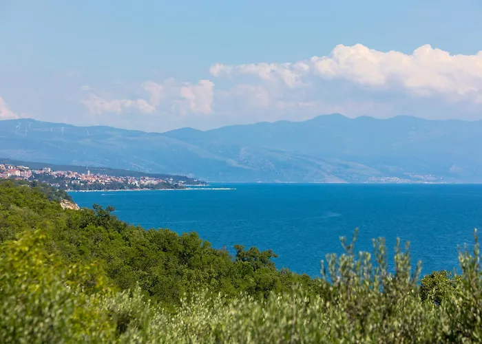 펜션 Pinia With A Pool 자드라보노